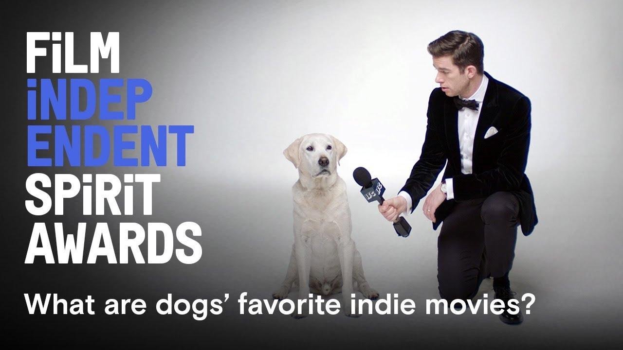 What are dogs’ favorite arthouse movies? Watch the 2018 Spirit Awards on March 3