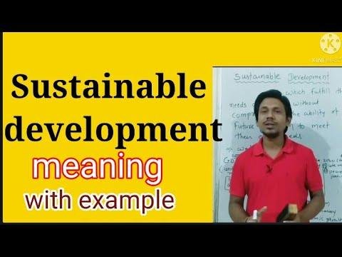 sustainable development ||sustainable development in hindi || sustainable development definition