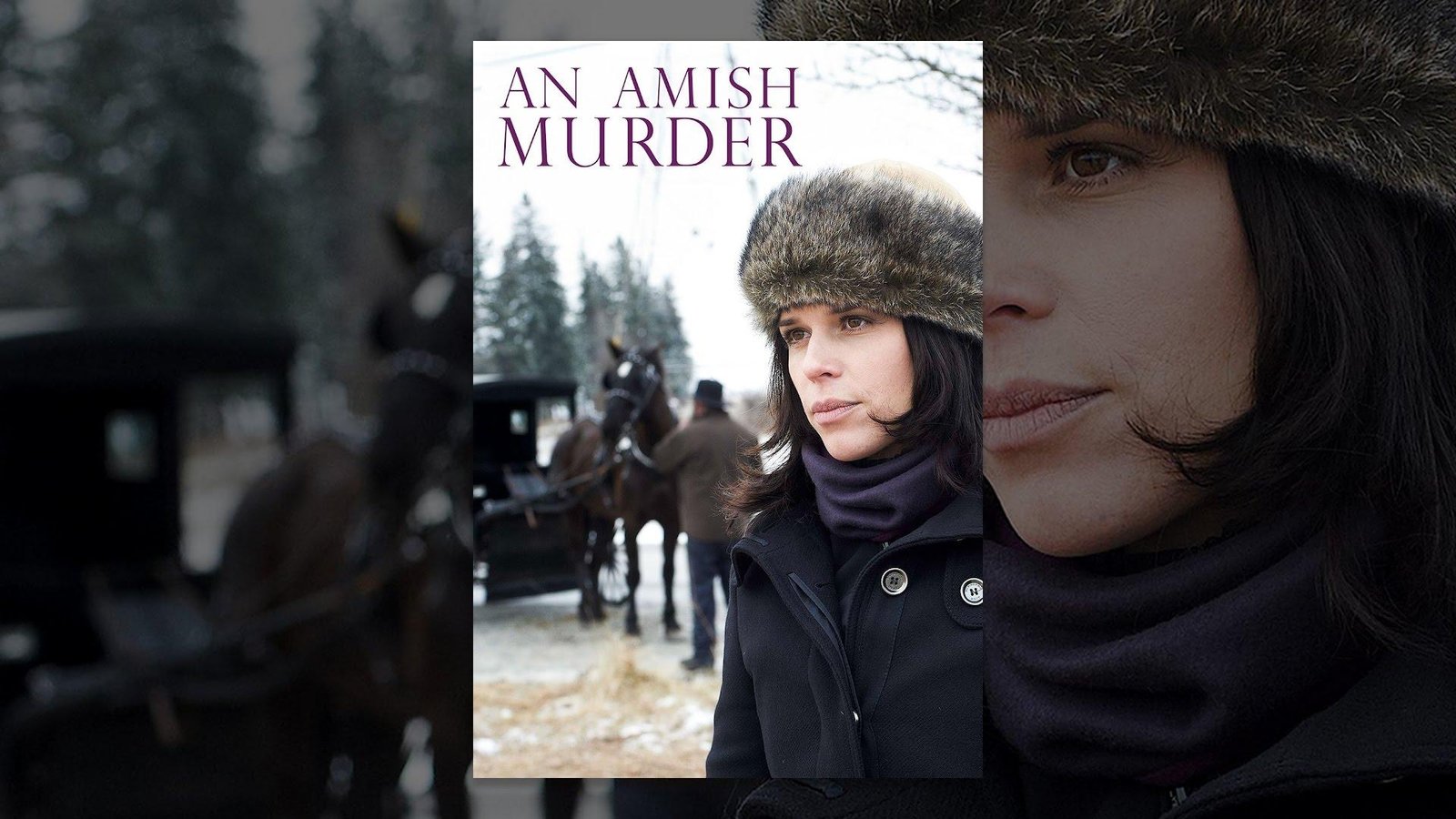 An Amish Murder