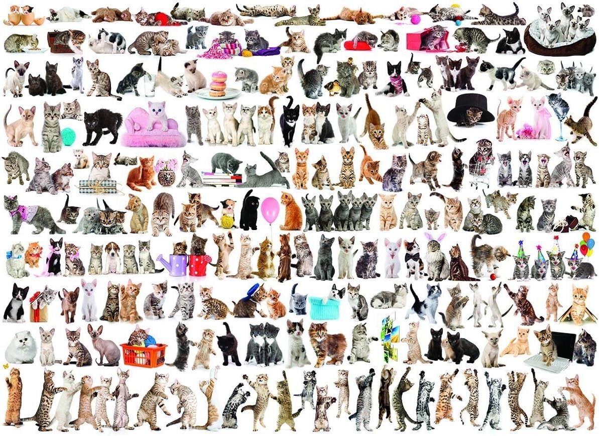 1782342631_s-l1200.jpg