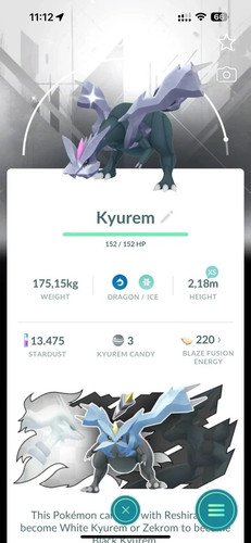1783247492_s-l500.jpg